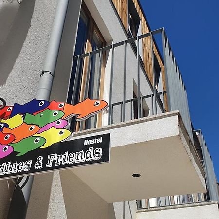 Sardines And Friends Hostel 06 포보아데바짐 외부 사진